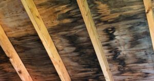 molded attic