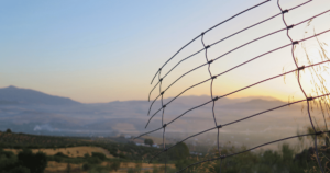 wire fence in front of an expansive landscape