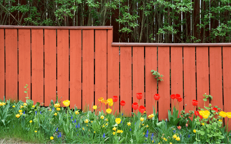 wooden privacy fence surrounded by flowers